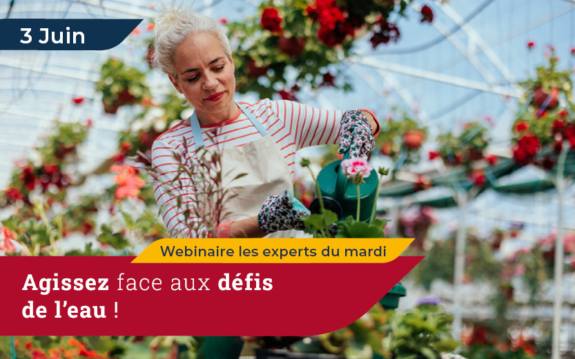 Webinaire 3 JUIN 2025 : les experts du mardi
