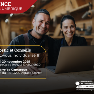 Journée diagnostic numérique